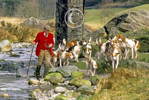 Fell Huntsman DM0230